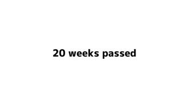 20 weeks passed
